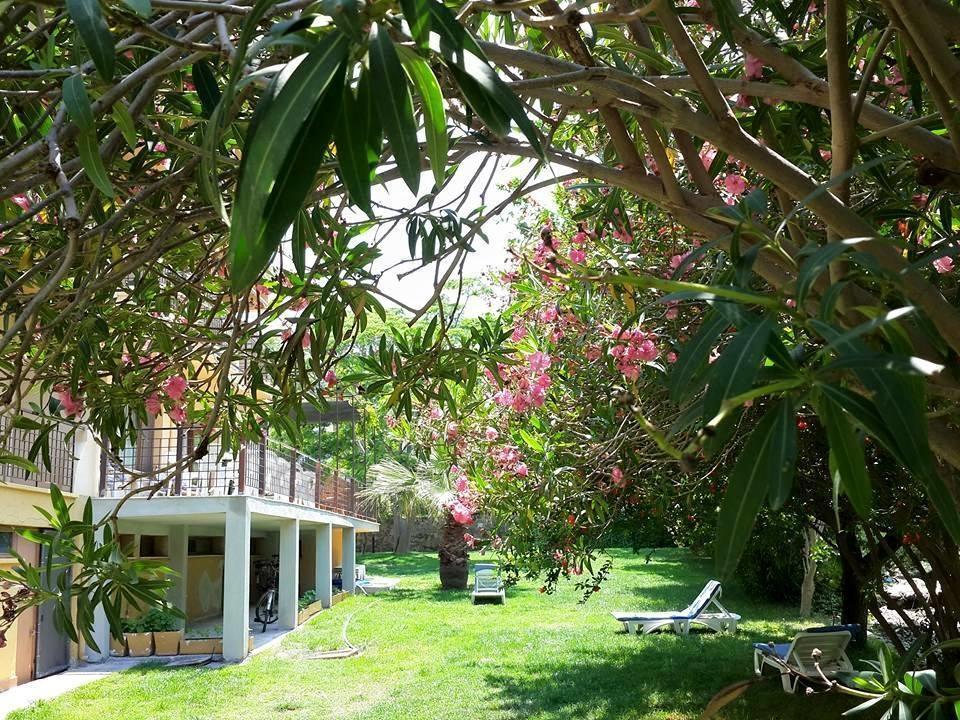 Doridas Hotel Kusadası Exteriér fotografie